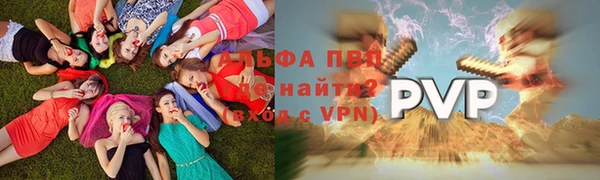 Альфа ПВП Горняк