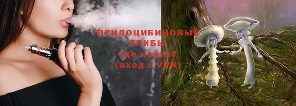 a pvp Горно-Алтайск