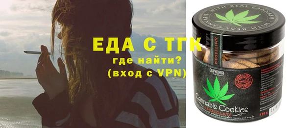 Альфа ПВП Горняк