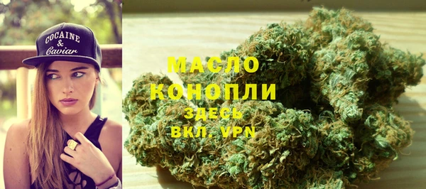гашик Вязьма