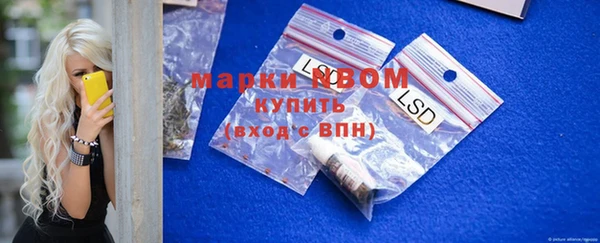 Альфа ПВП Горняк