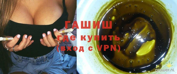 гашик Вязьма