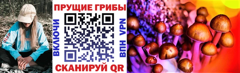 Псилоцибиновые грибы Psilocybe  Дигора 