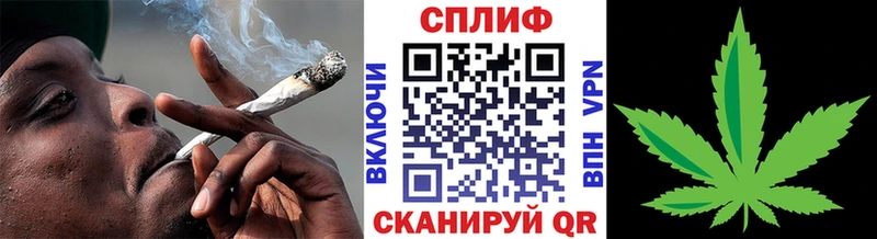 Бошки Шишки THC 21%  наркота  Дигора 
